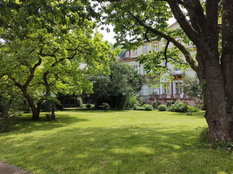Blick vom Garten zum Palais Graimberg