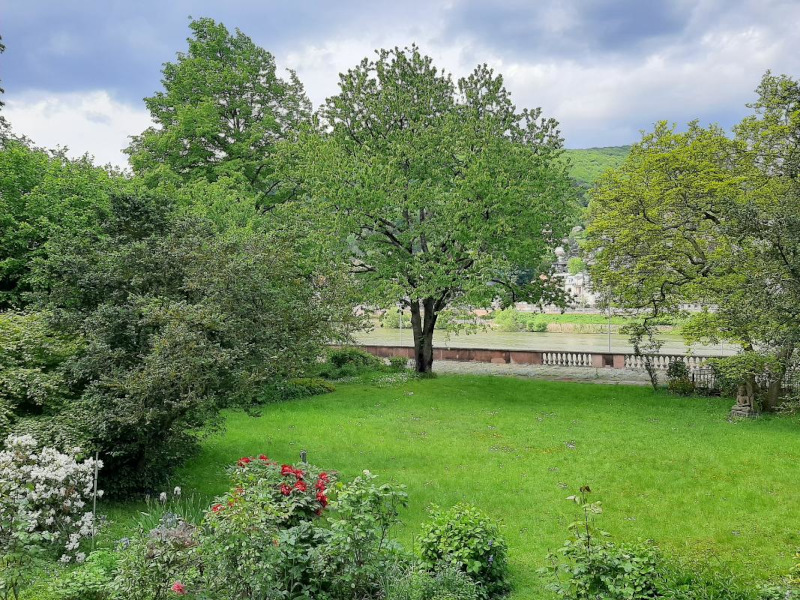 Terrasse Blick zum Neckar
